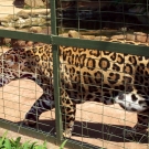 Zoo e Arquivo 019